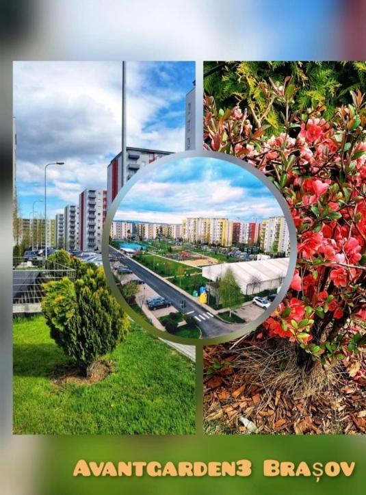 Fai Avantgarden Retreat Braşov Dış mekan fotoğraf