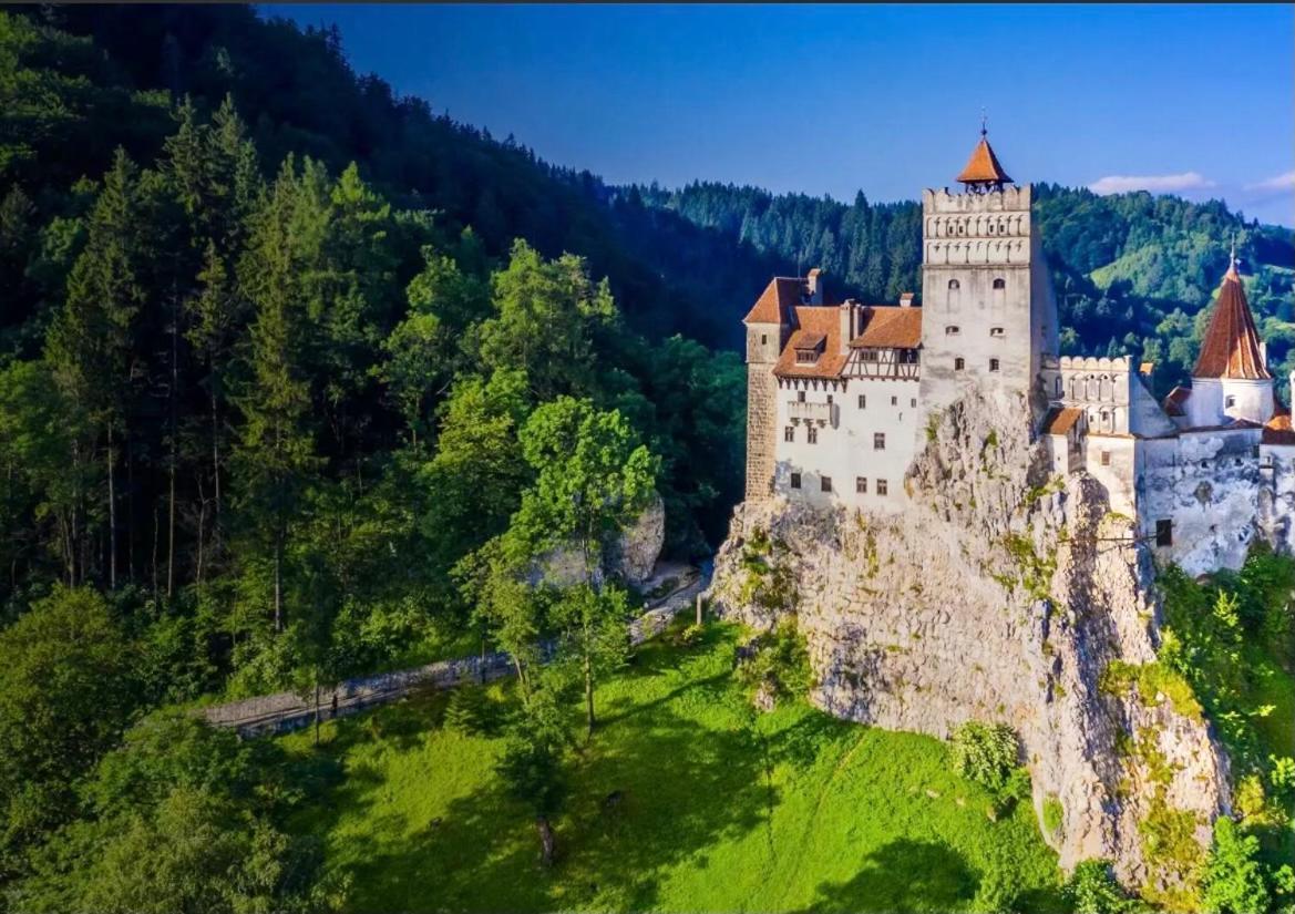 Fai Avantgarden Retreat Braşov Dış mekan fotoğraf